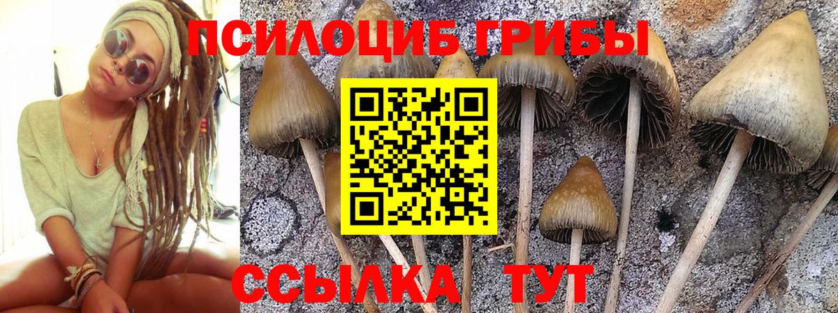 Псилоцибиновые грибы ЛСД  Вход с VPN  Новокубанск 